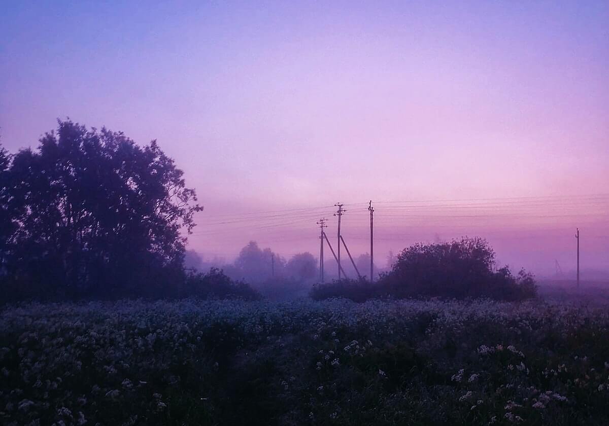 开云平台：云端新生力，企业数字化跃迁的加速器