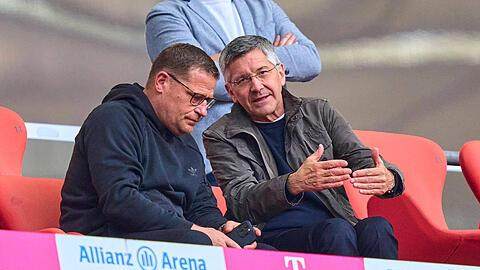 穆西亚拉+比朔夫,拜仁版齐达内+帕文?